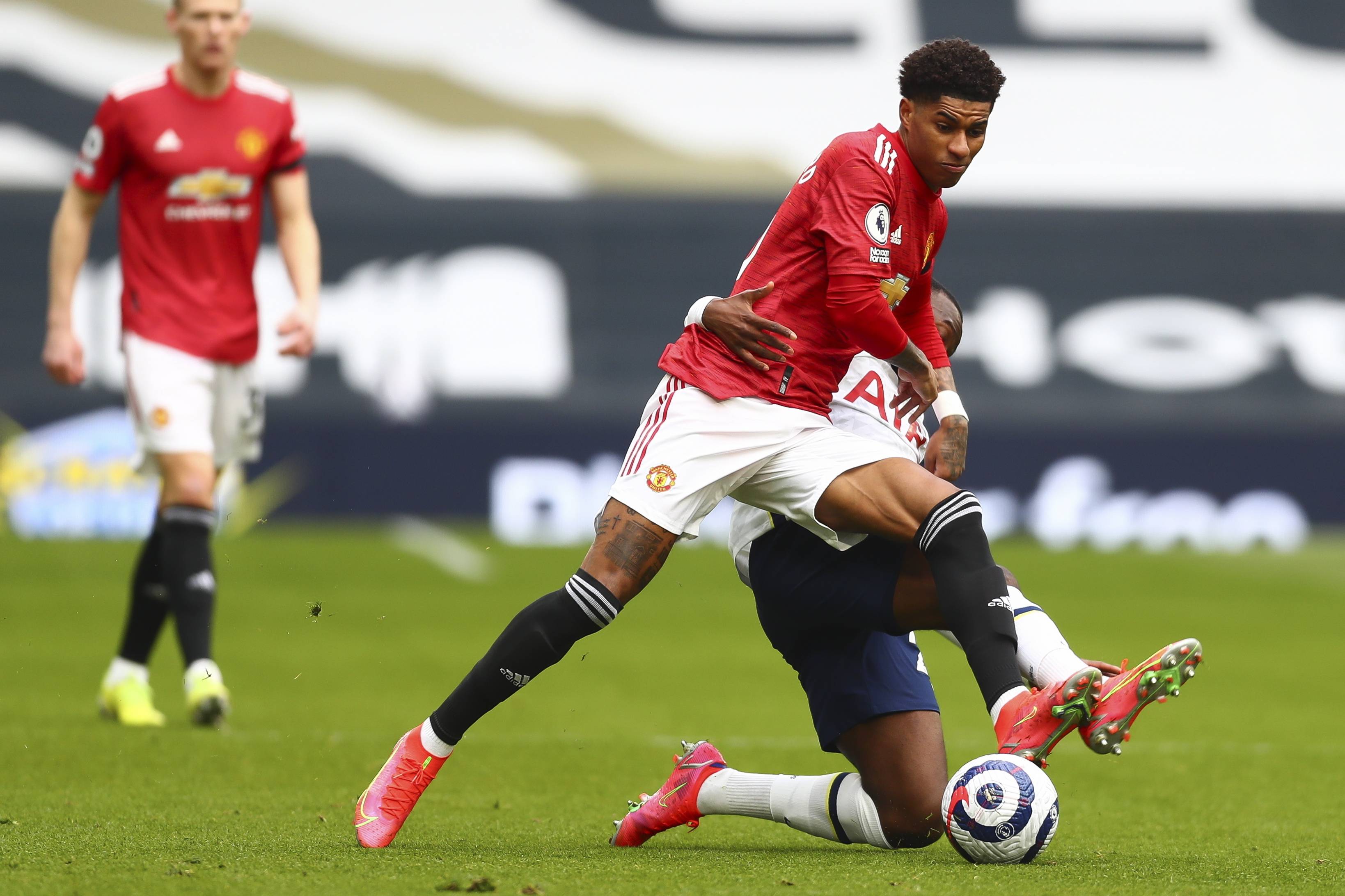 这句话不仅 这句话不仅